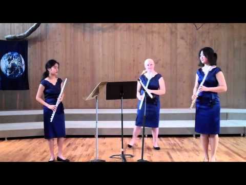 Areon Flutes Education! Areon Chamber Music Institute Performs Mozart Allegro, Weiss Funf Skizzen