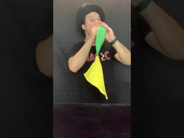 Vídeo relacionado con Geyoga 2 Pañuelos Mágicos de Cambio de Color Bufanda de Atrezzo Bufanda Mágica de Trucos Fáciles Accesorios de Trucos de Magia de Calle para Fiesta Cumpleaños, Azul Amarillo Rojo Verde