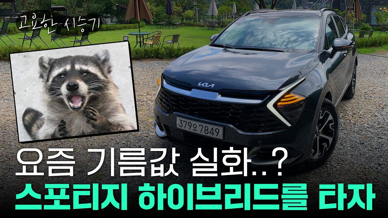 스포티지 하이브리드, 요즘 같은 고유가 시대에 이런 패밀리카 없다 [고요한시승기-28]