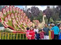 Places To Visit In Ooty Ooty Botanical Garden Ooty Rose Garden Ooty Day 2