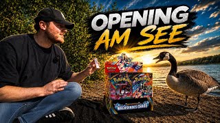 Wir öffnen Pokémon-Karten… mit Gänsen?! 🪿| Twin Collect