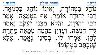 מסכת חולין פרק ז משנה ו
