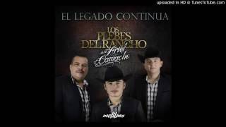 Querer y Perder - Los Plebes Del Rancho De Ariel Camacho (estudio)