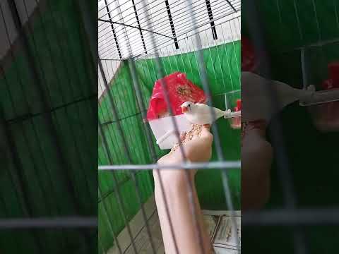 ۱۹ اوت ۲۰۲۳