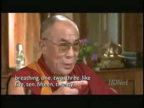 Dalai Lama  - Why meditate? Video