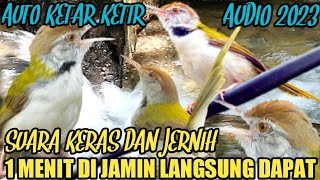 Download lagu SUARA PIKAT BURUNG PRENJAK LUMUT AMPUH ANTI ZONK@Smstachanel mp3