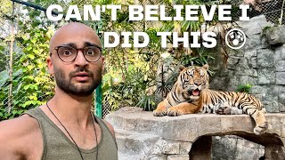 I HUNG OUT WITH TIGERS | THAILAND '23 | CHIANG MAI