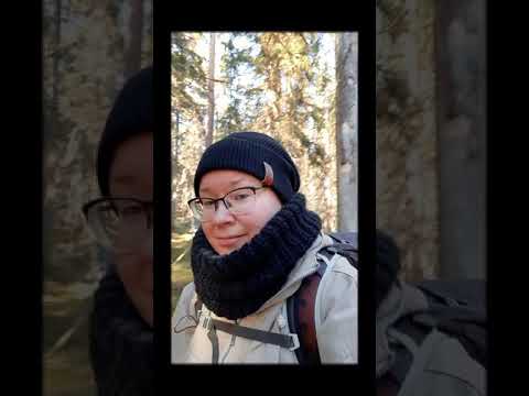 Päiväretkellä Seitsemisessä