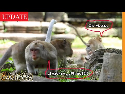 OMG..Mak Steal Jane's Food and Almost Attack Both Jane and Janne