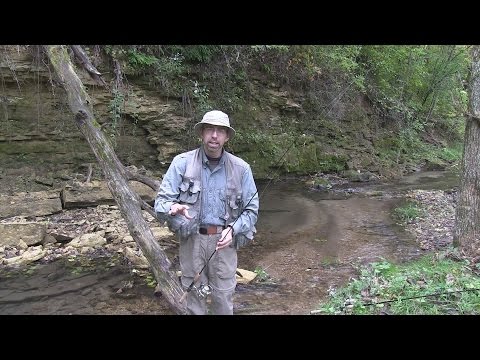 How to Fly Fish with a Spinning Rod