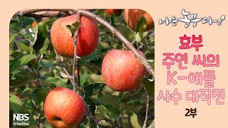 [나는농부다 273회 2부] 효부 주연 씨의 사과농장은 오늘도 맑음