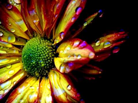 Eye In The Sky (acoustic live in studio) - Anna & Fabrizio.