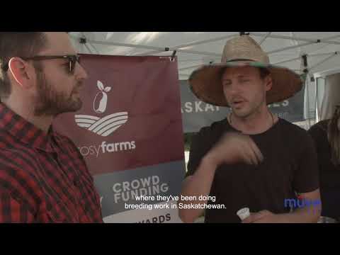 Etown Eats Episode 9 - 124 Grand Market