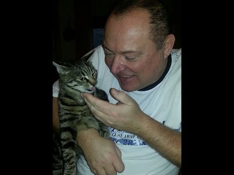 MELODIJE MOJE SO BOGASTVO - NACE JUNKAR