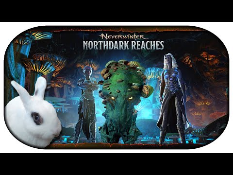 NEVERWINTER: Mod 24 🐇 00 - Ein Überblick und 62x "Schatzladen des Mykoniden" [Northdark Reaches]