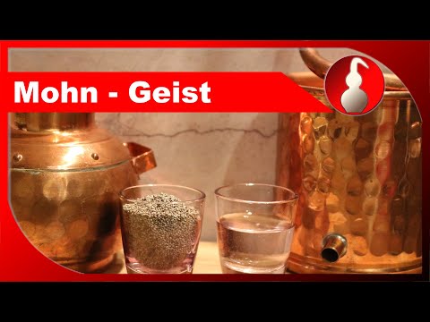 Mohn-Geist - ansetzen und destillieren - Schnaps selber brennen - diSTILLed