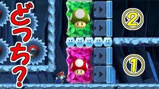 クイズ!!どっちの色のキノコを選ぶべき？【マリオメーカー実況】