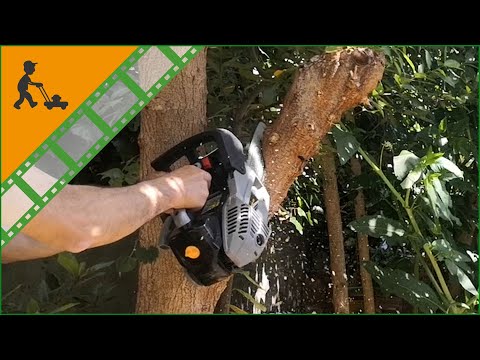 Funktionsvideo - Leichte Kettensäge zum Beschneiden Alpina APR 25