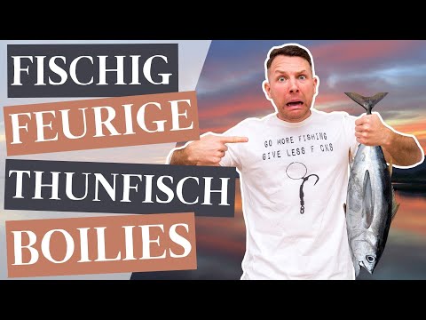 Roll your own boilies - Fiery fishy tuna boilies!