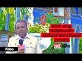 balumgala-12-12-2018