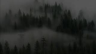 the curse [slowed and with so much reverb]