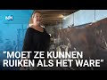Uitgemolken: Philine schildert levensgrote koeien op een immens doek