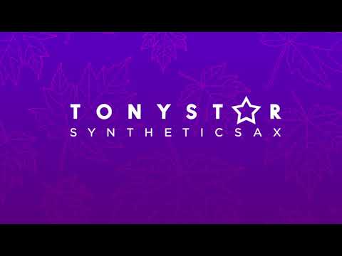 Tonystar ft. Syntheticsax - Listopad (Radio Edit)