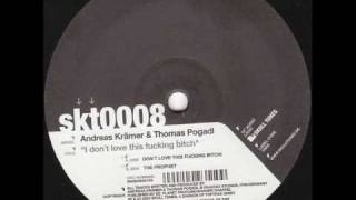 Andreas Kraemer and Thomas Pogadl - I Don't Love This Fucking Bitch
