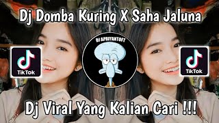 Download lagu DJ DOMBA KURING X SAHA JALUNA VIRAL TIK TOK TERBAR... mp3