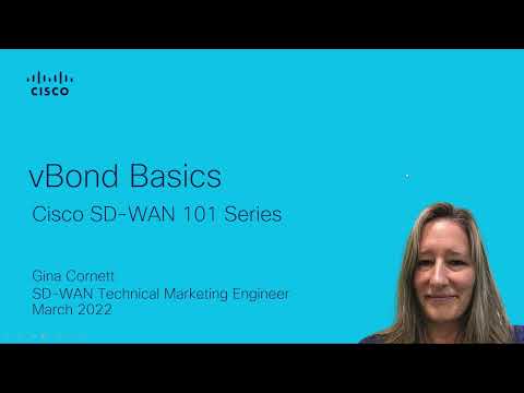 Cisco SD-WAN 101: vBond Basics