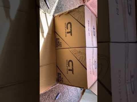 2 CT Sounds EXO 12” 1 ohm