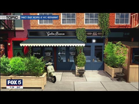 LIKE IT OR NOT: Fancy Feast recipes at NYC restaurant | FOX 5 DC