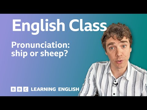 Pronunciation 🗣️ ship or sheep: Live English Class