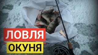 Ссылка