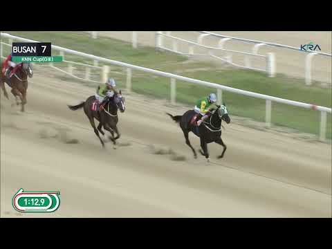 (Busan) 2022.07.17 R7 KNN Cup (1600M KOR-G3)