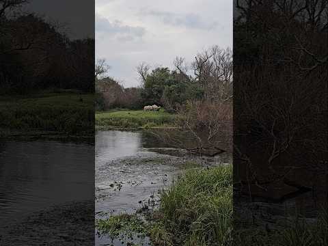 recorriendo Uruguay 🇺🇾 en este caso visitando el Arroyo Campanero  en el departamento de Lavalleja