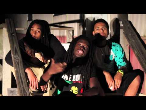 Lil Bub Wtf (Music Video)