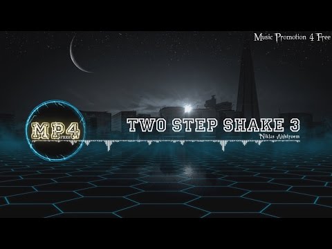 Two Step Shake 3 by Niklas Ahlström - [Electro Music]