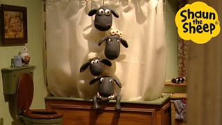 Download lagu Shaun the Sheep 🐑 Hide in the Shower! - Cartoons for Kids 🐑 Full Episodes Compilation [1 hour] mp3
