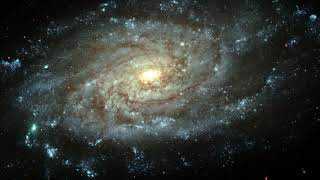 Klaus Schulze   The Cello