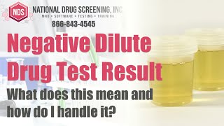 What Is A Negative Dilute Drug Test Result