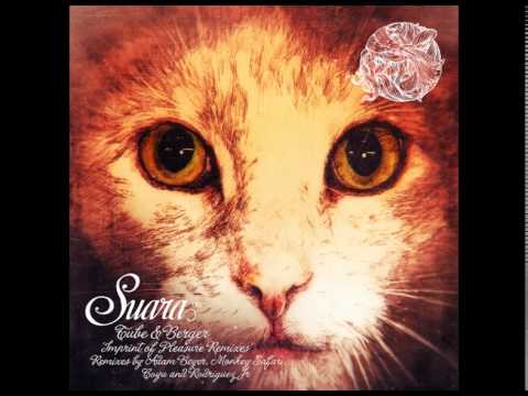 Tube & Berger - Imprint Of Pleasure (Coyu Remix)