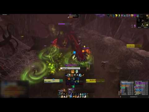 Nethrim - Mal'ganis: Heroic Elerethe Renferal (Holy Priest PoV)