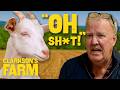 Clarkson S Farm Moments That Had Us In Stitches Clarkson S Farm