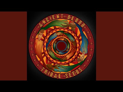 Till I - Tribal Seeds