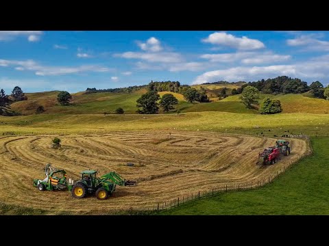 Making Silage/Baleage in Rural NZ | Feeding Out