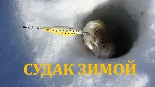 Зимния рыбалка на обском море
