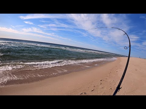 Easy Shore Limits w/Single Jig - Fluke Flounder Fishing