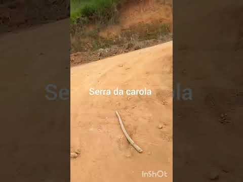 município de São Félix de Minas