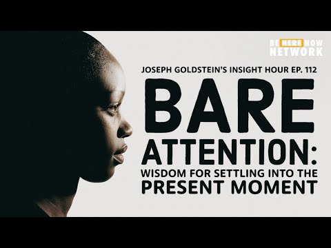 Joseph Goldstein's Insight Hour Ep. 112: Bare Attention